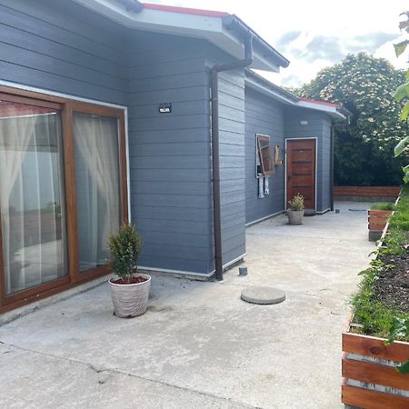 Cabanas Bosque Austral ปุนตาอาเรนาส ภายนอก รูปภาพ